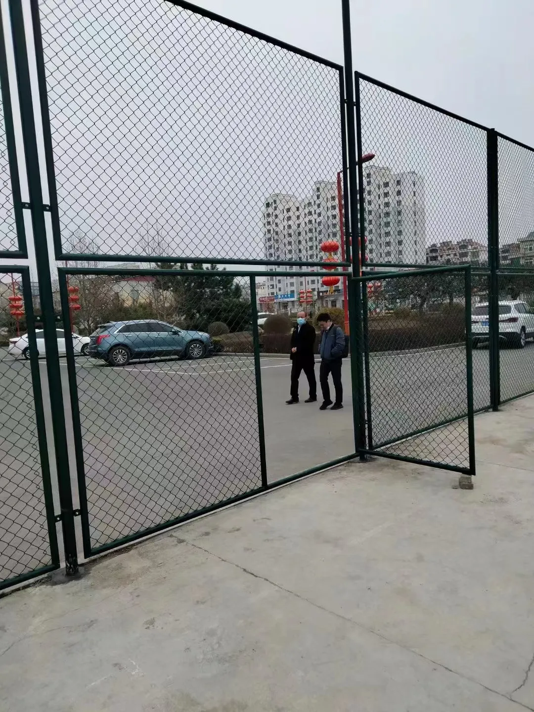 Large Plant Enclosures Designed for Optimal Growth and Environmental Control in Botanical Spaces