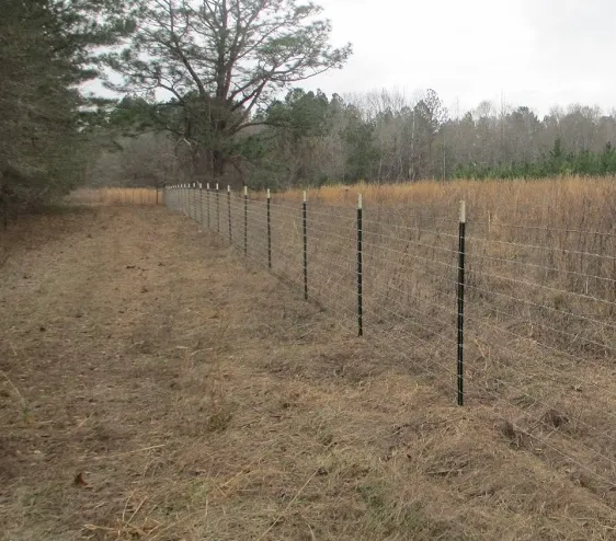 The Main Application Areas of Field Fence