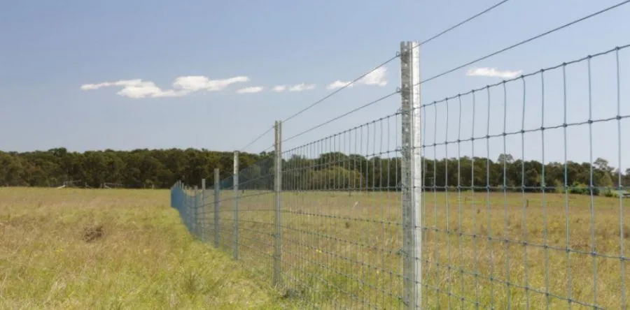 The Main Application Areas of Field Fence