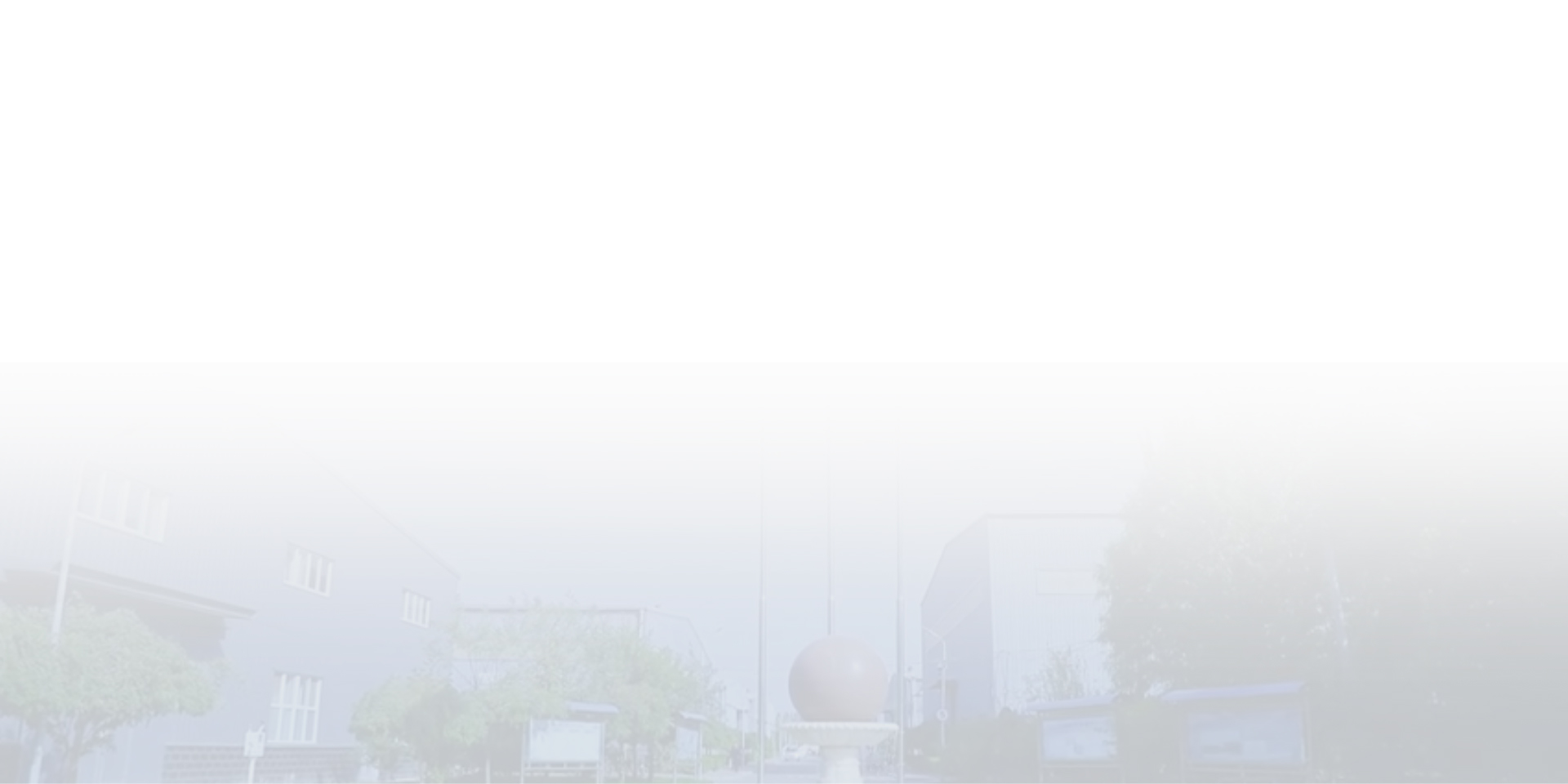 Bulk Purchase of Large Paper Bags with Handles for Various Uses