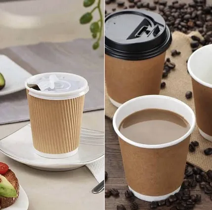 Eco-Friendly Packaging Solutions for a Sustainable Future