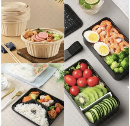 Revolutionizing Lunchtime: The Rise of Eco-Friendly Lunch Containers