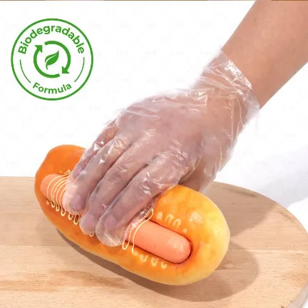 Essential Gloves for Medical Safety and Hygiene