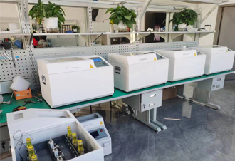 Understanding the TTR Test and Its Applications in Linguistic Analysis