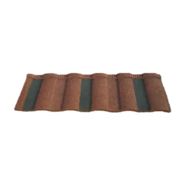 The Classic Appeal of Double Roman Roof Tiles