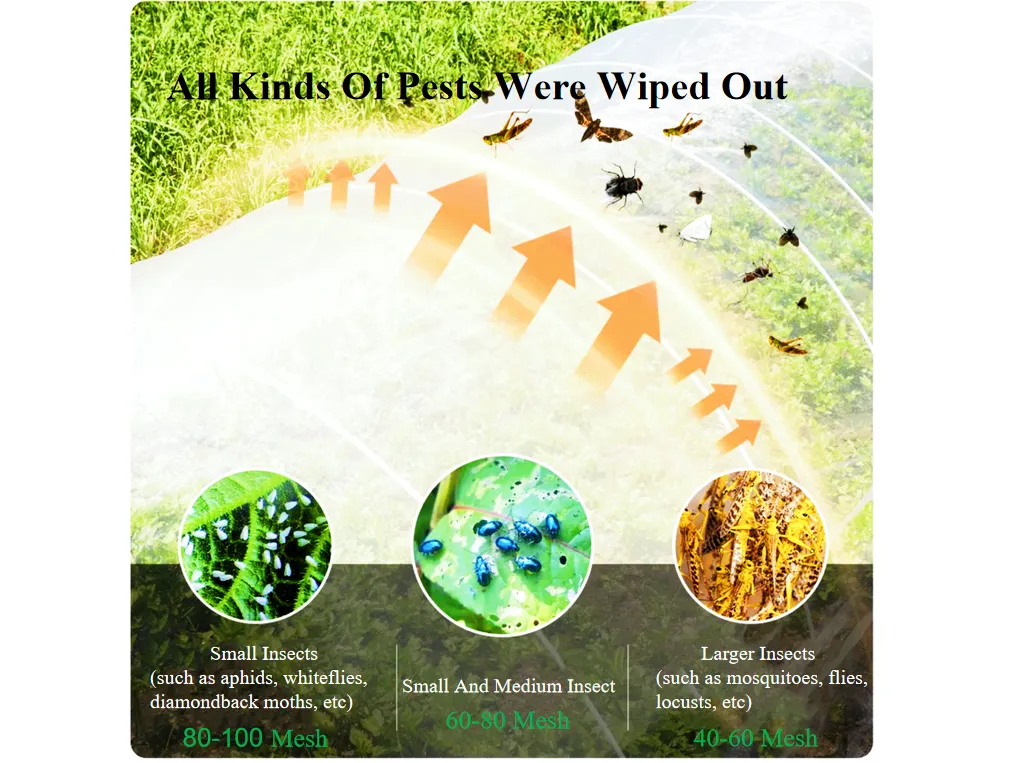 60-Mesh Insect Net: Optimal for Controlling Medium-Sized Pests in Greenhouse Vegetables