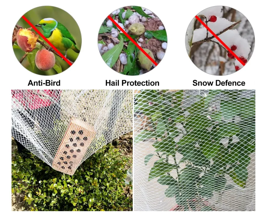 Anti-hail Netting, suitable for agricultural insect prevention, apple orchard, and plant protection.