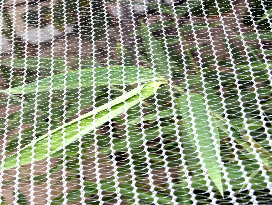 Hail Netting 10 ft. x 50 ft., Bird Netting Protect Fruits and Plants from Hail Damage, White