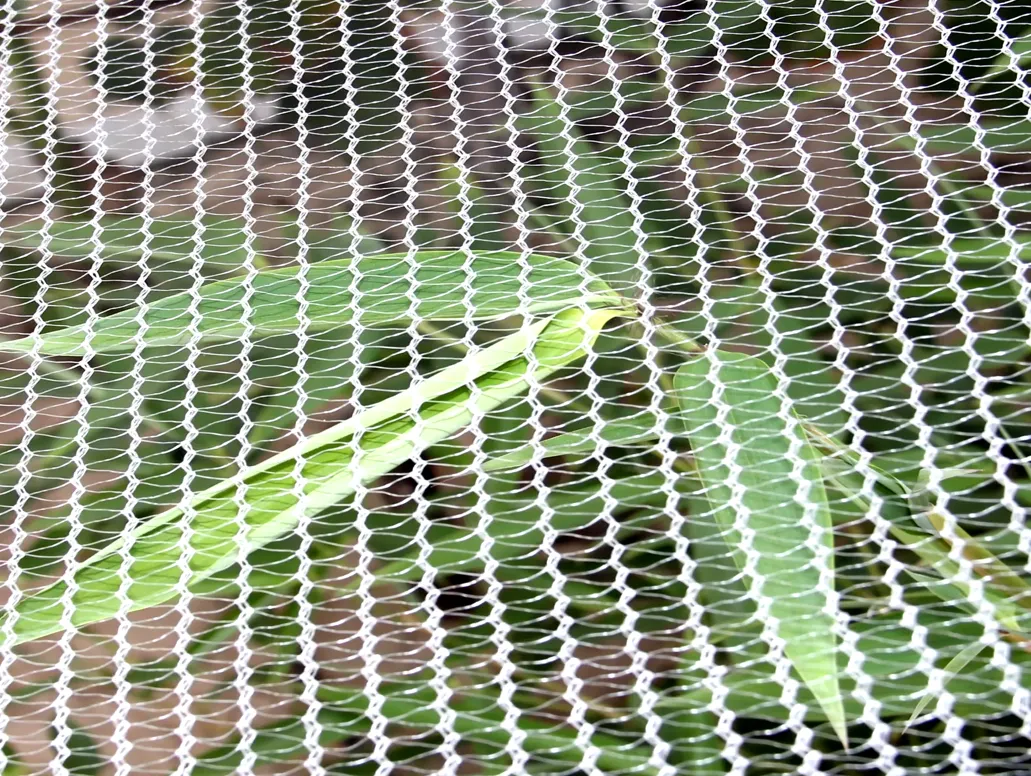 Anti-Aging Orchard Anti-Hail Netting Vegetable Garden Hail Protect Netting