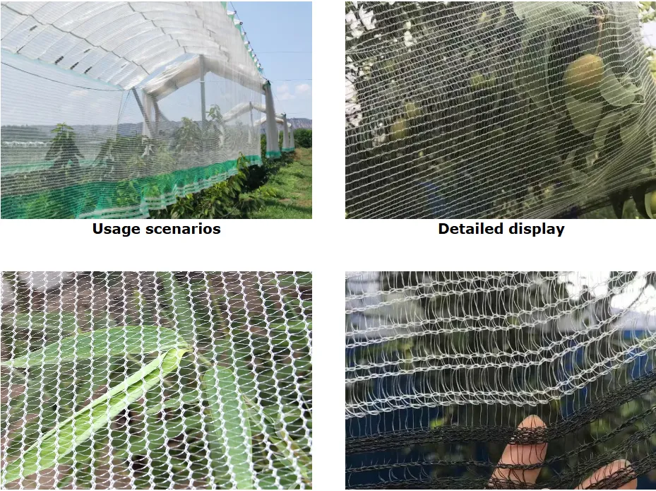 Anti-hail Netting, suitable for agricultural insect prevention, apple orchard, and plant protection.