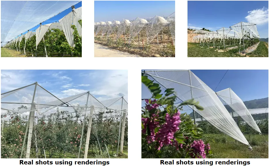 Good Quality Factory Directly Hail protection Netting Anti Hail Mesh With UV or Without As Customized on Farm