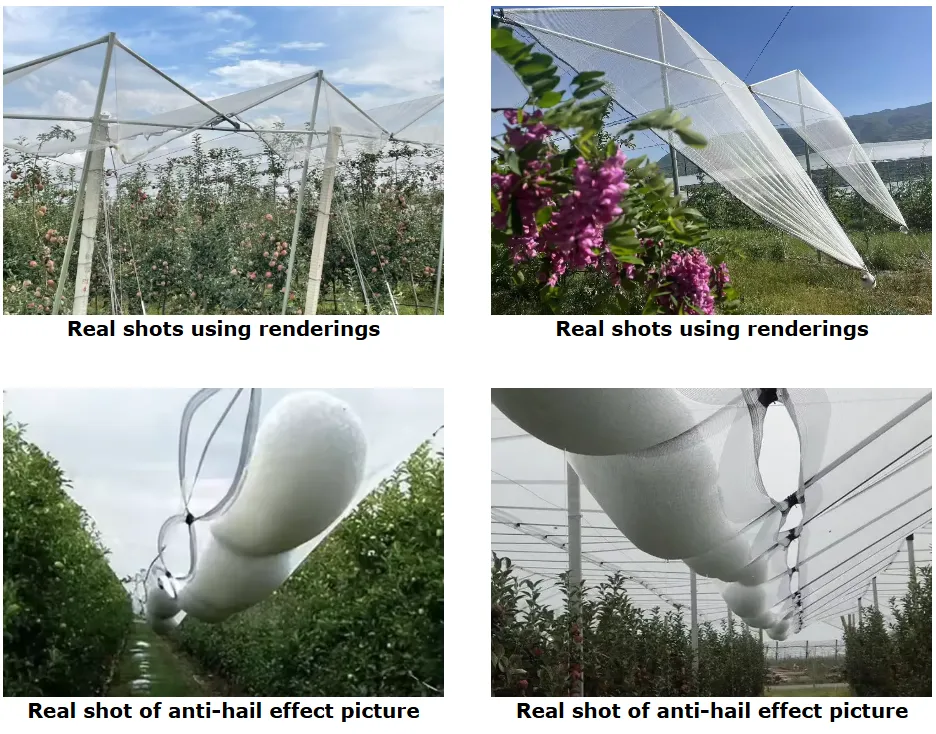 Good Quality Factory Directly Hail protection Netting Anti Hail Mesh With UV or Without As Customized on Farm