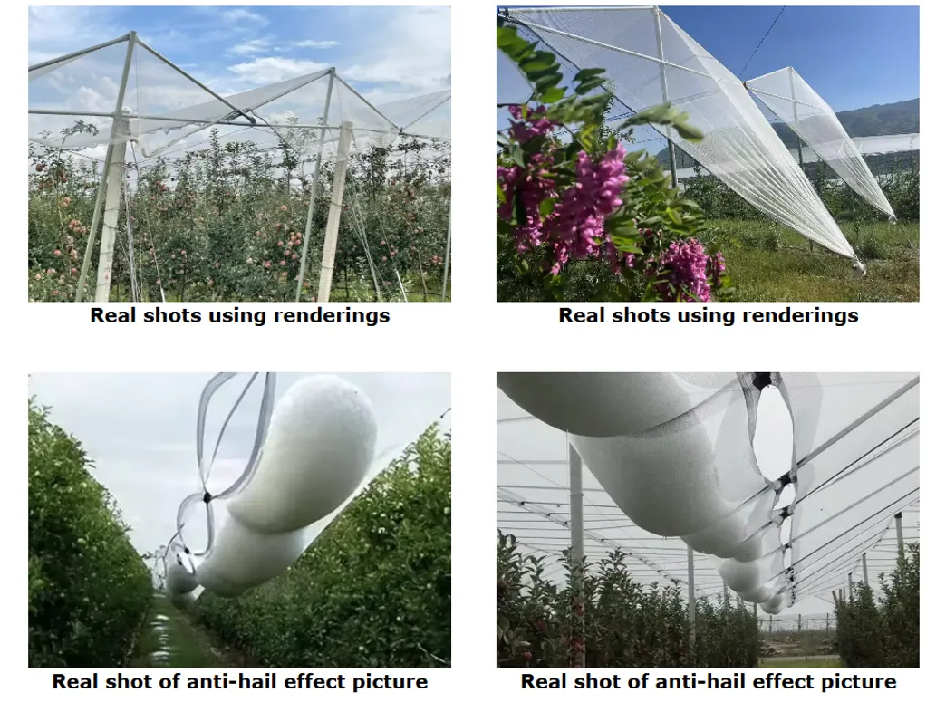 Hail net, cuttable, suitable for vegetable gardens; DIY anti-insect netting, suitable for protecting gardens, orchards, greenhouses and farmland.