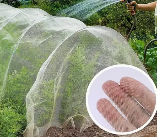 60-Mesh Insect Net: Optimal for Controlling Medium-Sized Pests in Greenhouse Vegetables