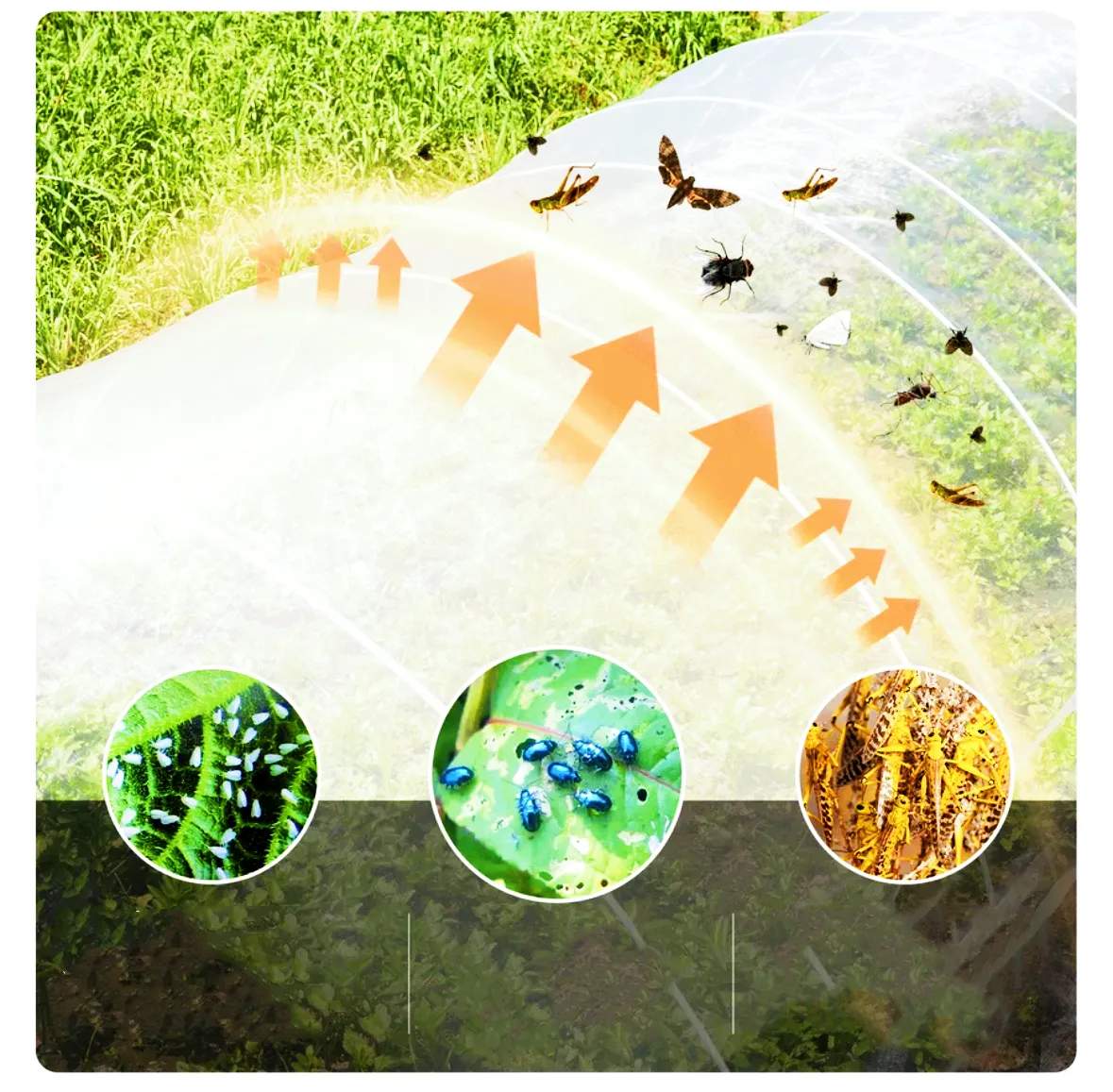 Insect Screen Garden Netting against Bugs Birds Squirrels White-Various Size