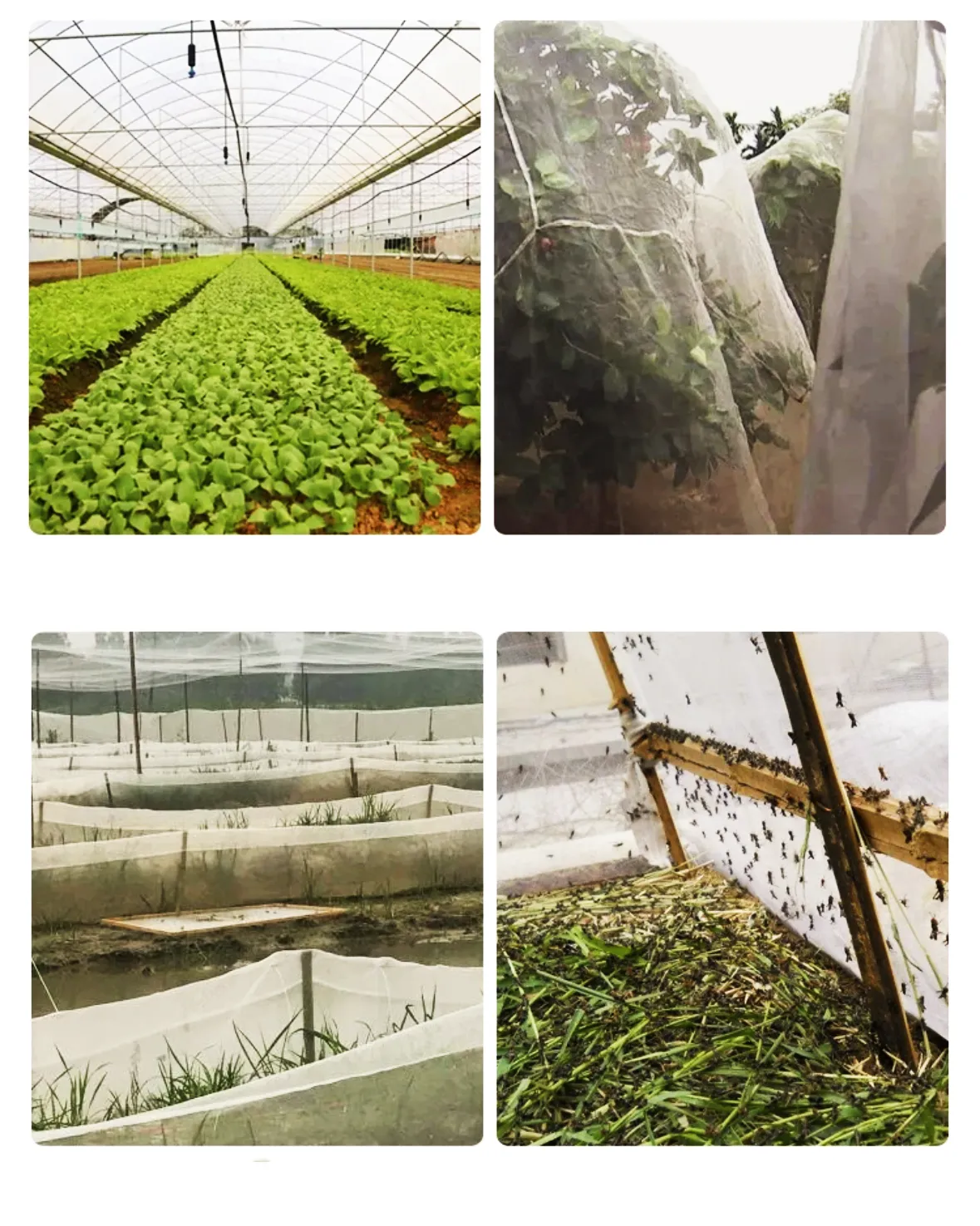 Weather Resistant Mesh Netting for Garden Keep Birds Squirrels and Insects Out