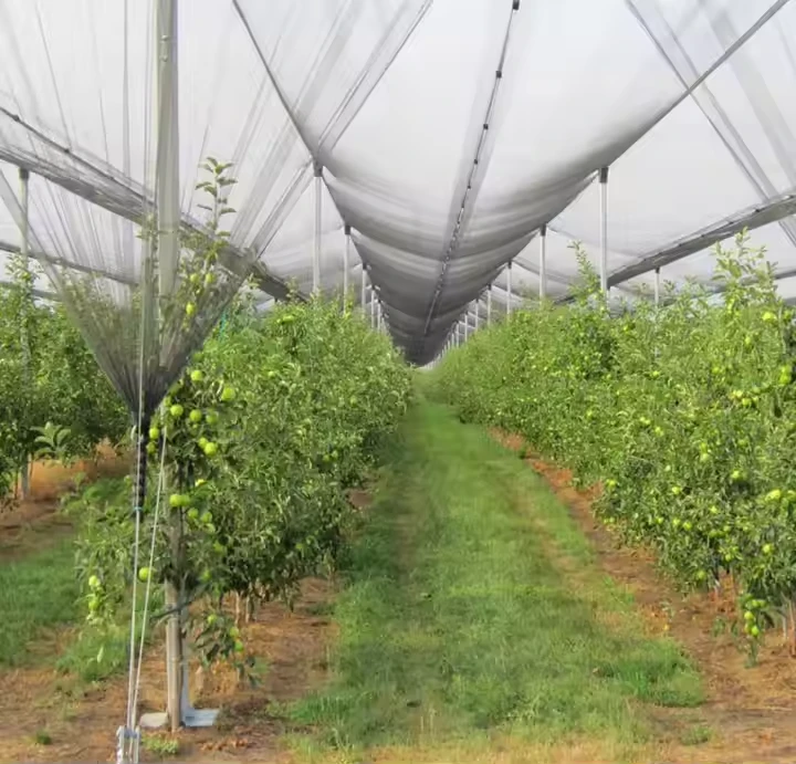 Anti-hail Netting, suitable for agricultural insect prevention, apple orchard, and plant protection.