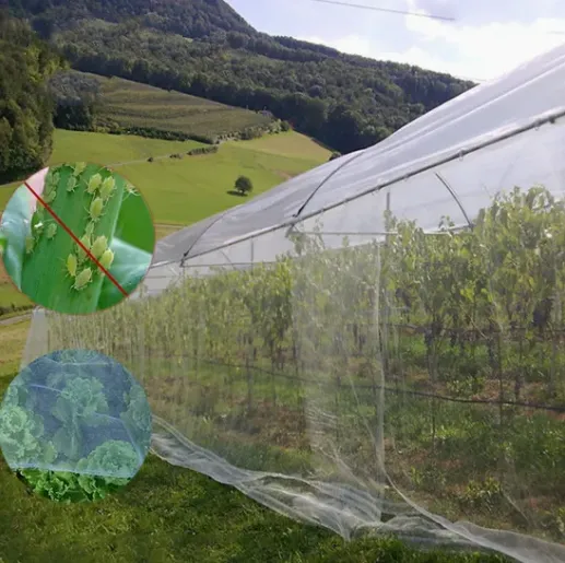 20-30 mesh: Suitable for blocking large insects such as beetles and butterflies.