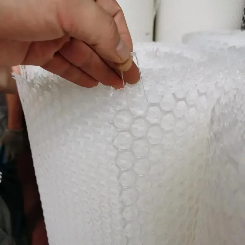 Plastic Flat Nets in Hydroponics: Revolutionizing Soilless Farming Efficiency