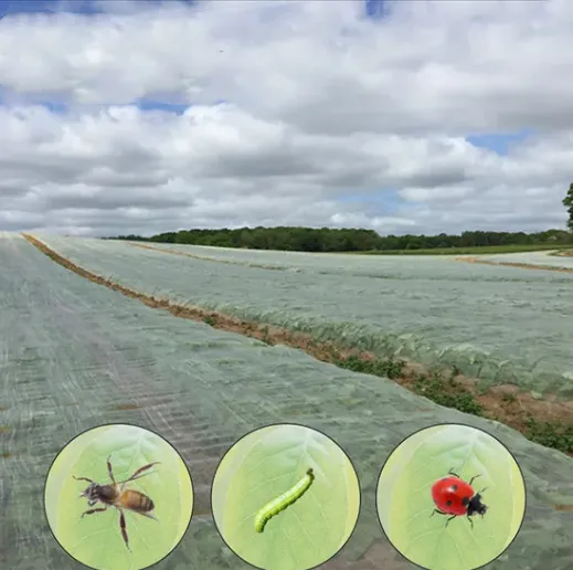 50 Mesh Insect Net - Blocks Aphids: Breathable, UV-Safe?