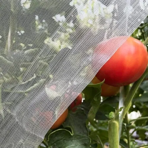 Weather Resistant Mesh Netting for Garden – Keep Pests Out