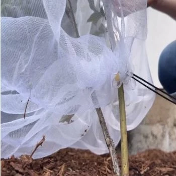 Application of Agricultural Net