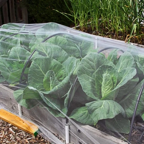 Durable and Versatile Galvanized Wire Mesh for Various Home and Garden Applications