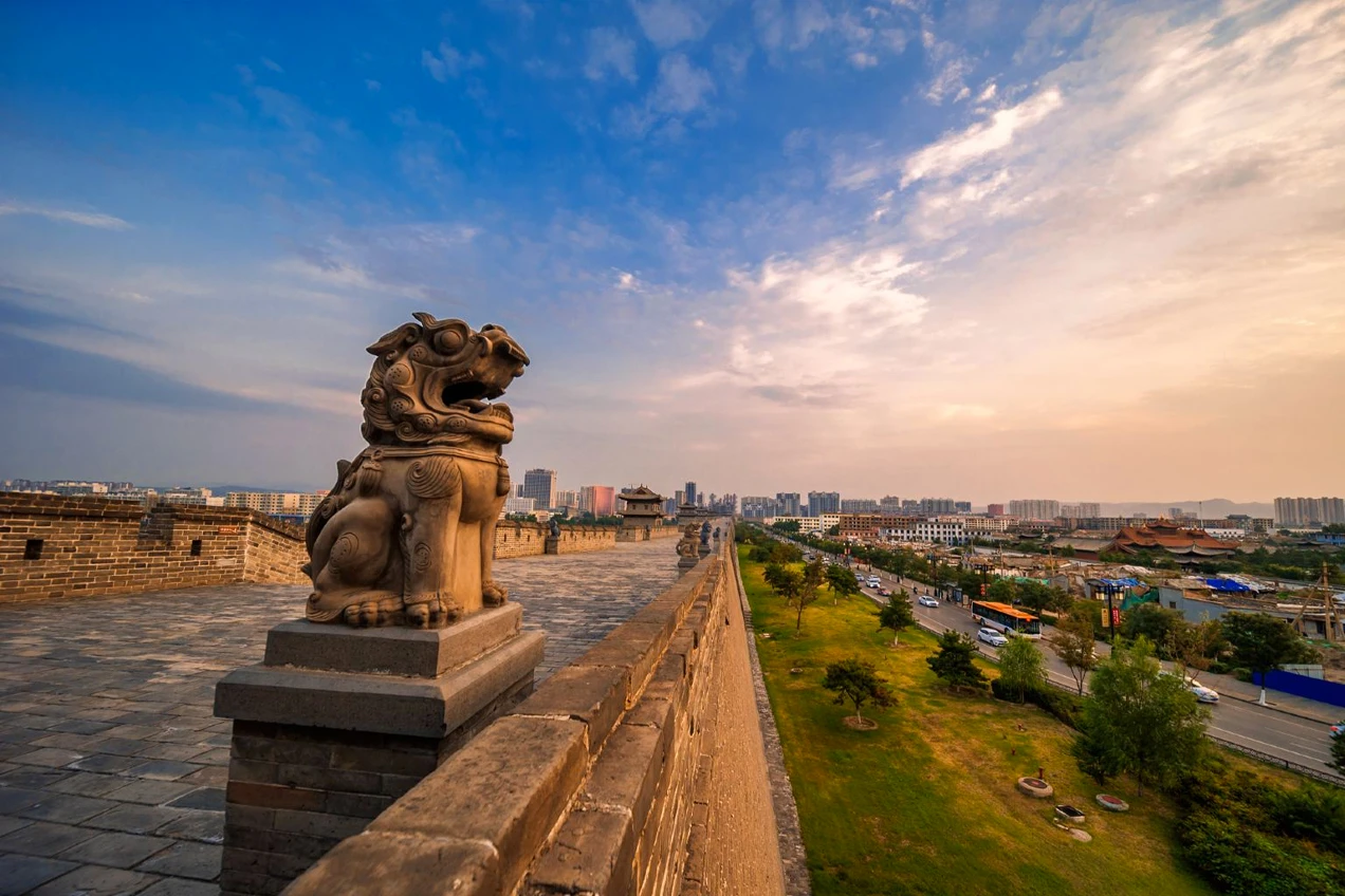 aviary nets aviary nets