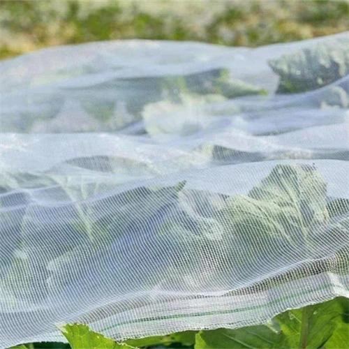 Rubberized Metal Mesh for Enhanced Durability and Versatile Applications