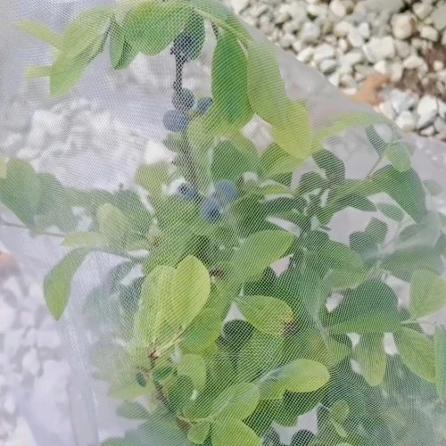 Bird Protection Solutions with Balcony Nets for Safe Outdoor Spaces