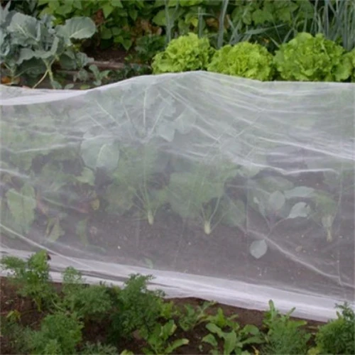 insect net