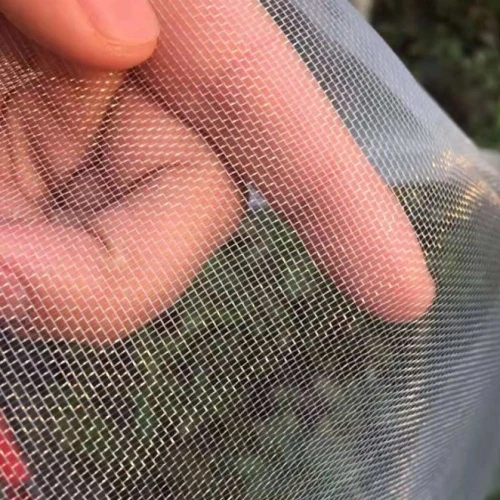Insect Netting for Pest Protection