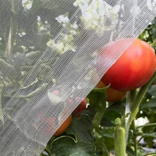 plastová mřížová síť