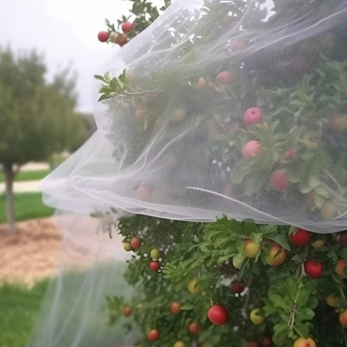 Anti-Insect (polysack) Nets