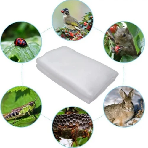 Application of insect-proof net in forest and fruit industry