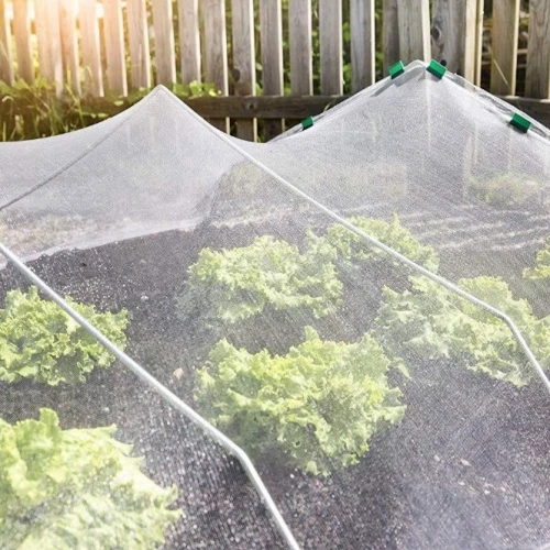 Insect Net (Anti-Insect Mesh)