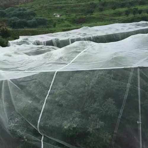 High-Quality Fine Mesh Steel for Enhanced Filtration and Durability Applications High-Quality Fine Mesh Steel for Enhanced Filtration and Durability Applications