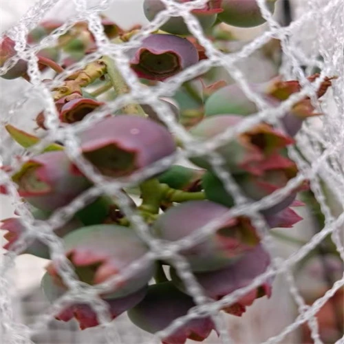 Quadrat-Schweißgitter - Hohe Festigkeit und vielseitige Anwendung