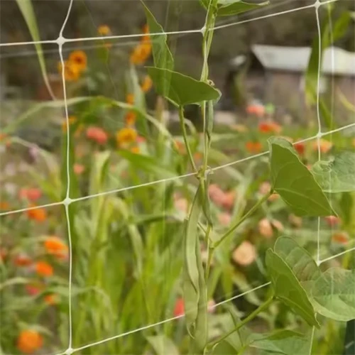 스테인리스 스틸 와이어 메쉬 필터의 장점과 활용 방법