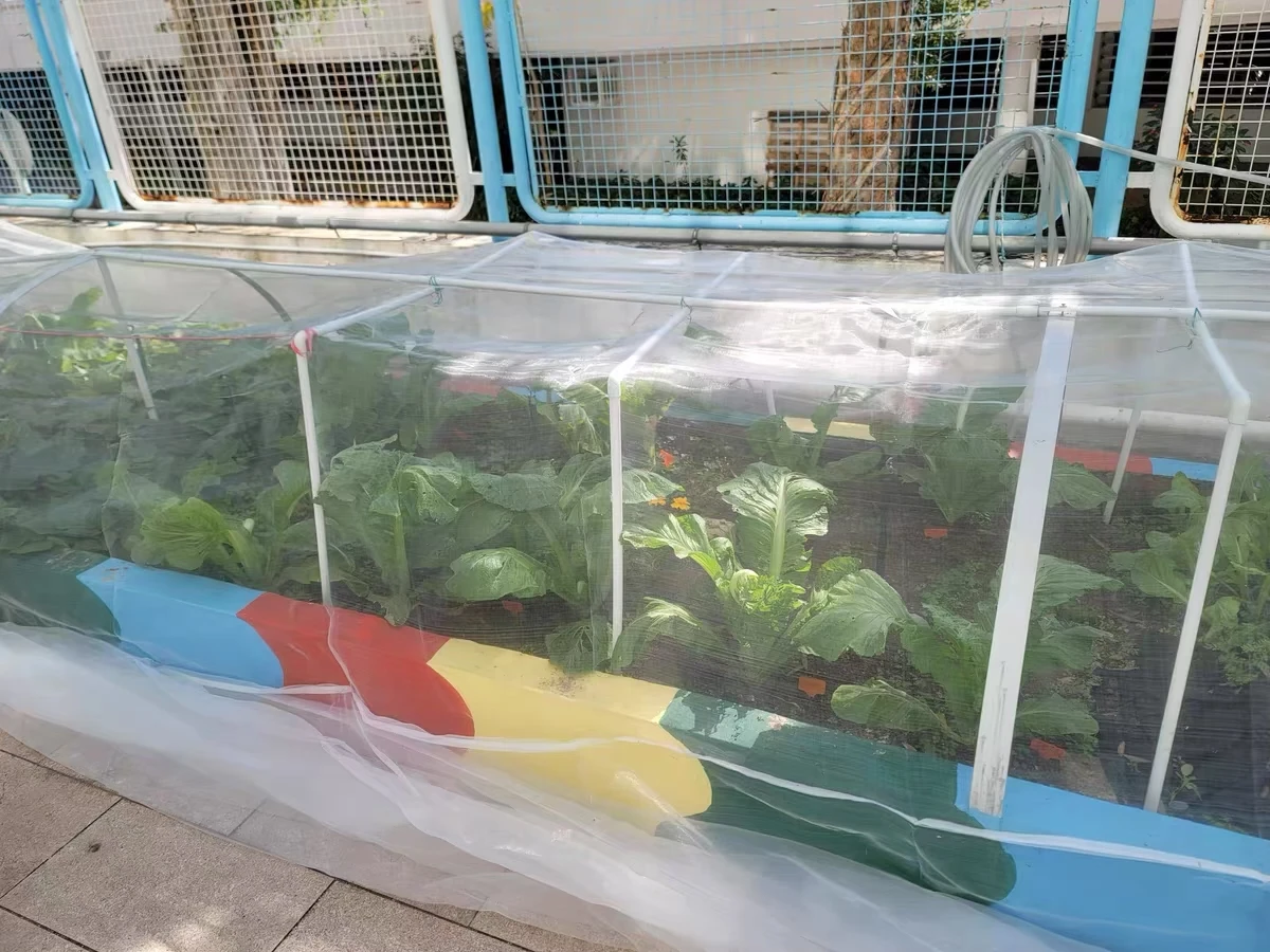 The Role of Farm Netting in Protecting Crops from Extreme Weather