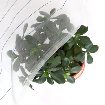 Protect Your Crops with Anti Hail Net