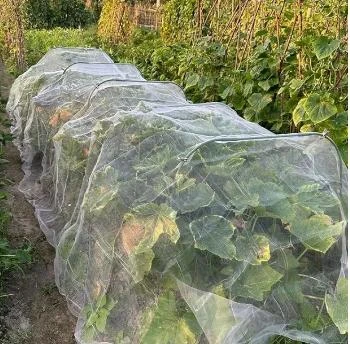 The Benefits of Agricultural Netting for Your Farm