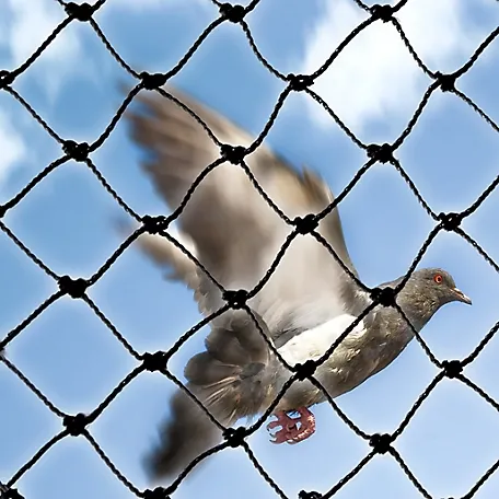iltim yarpağı toru istifadəsi üçün mükəmməl həşərat toru