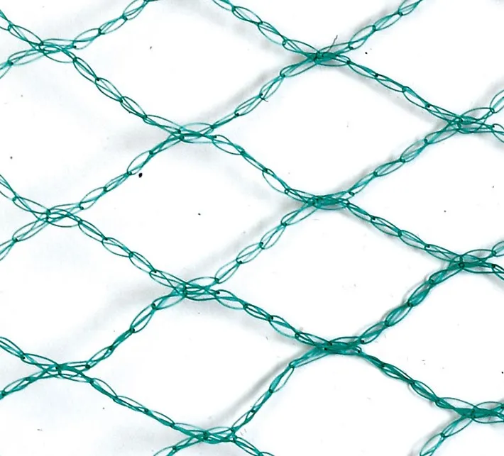 Durable Plastic Chicken Wire Mesh for Secure Poultry Fencing and Enclosures