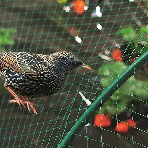 Bird Prevention Netting – Durable, Humane, Custom Sizes