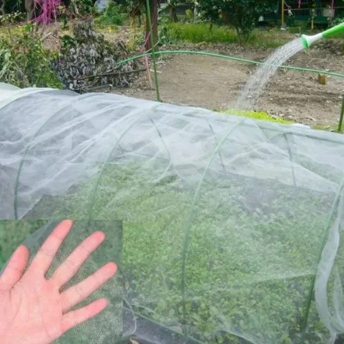 Durable Insect Net: Superior Protection Against Pests