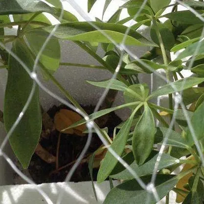 Innovative Applications and Benefits of Construction Steel Mesh in Modern Building Projects