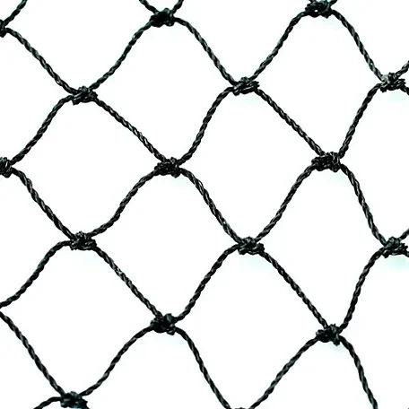 Hot Sale Factory Directly 100% HDPE Anti-bird Net/Plastic Bird Netting
