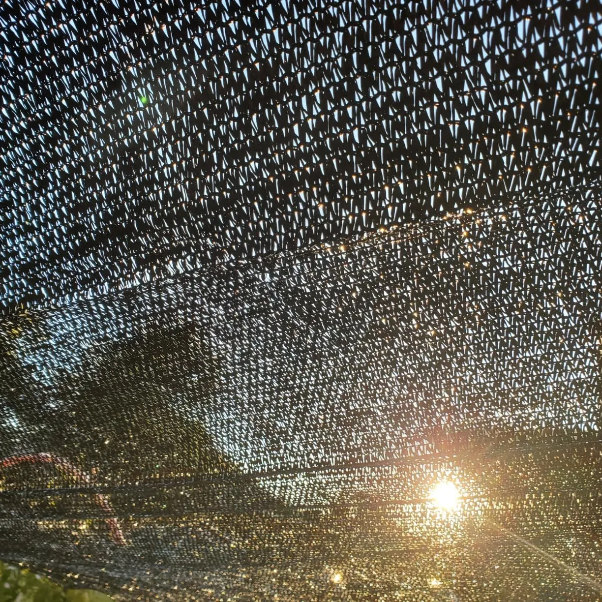 Sun Shade Mesh for Greenhouse Agriculture Garden Fruit Tree