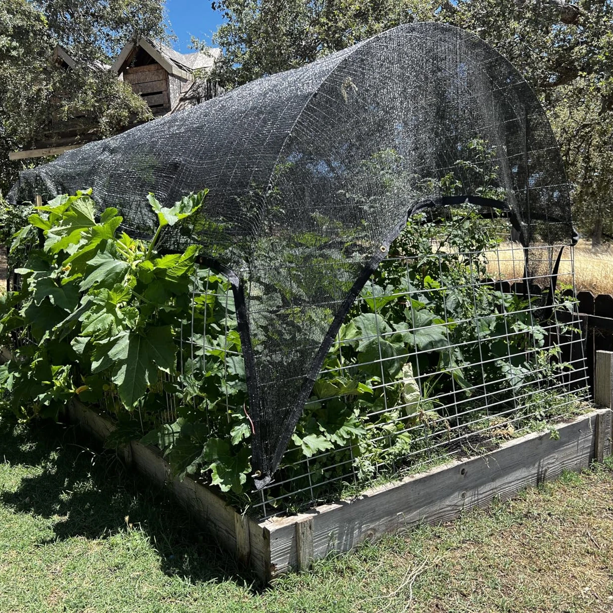 Hot Sale Factory Directly Black Sun Shade Net for Farming